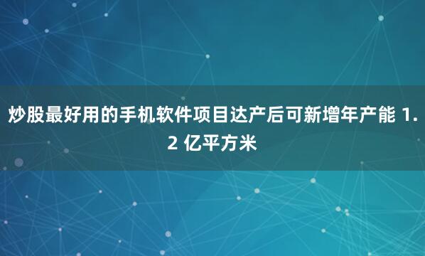 炒股最好用的手机软件项目达产后可新增年产能 1.2 亿平方米
