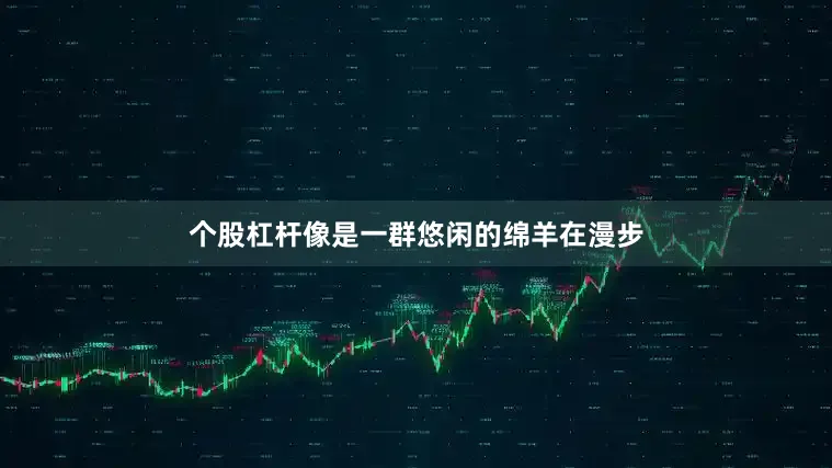 个股杠杆像是一群悠闲的绵羊在漫步