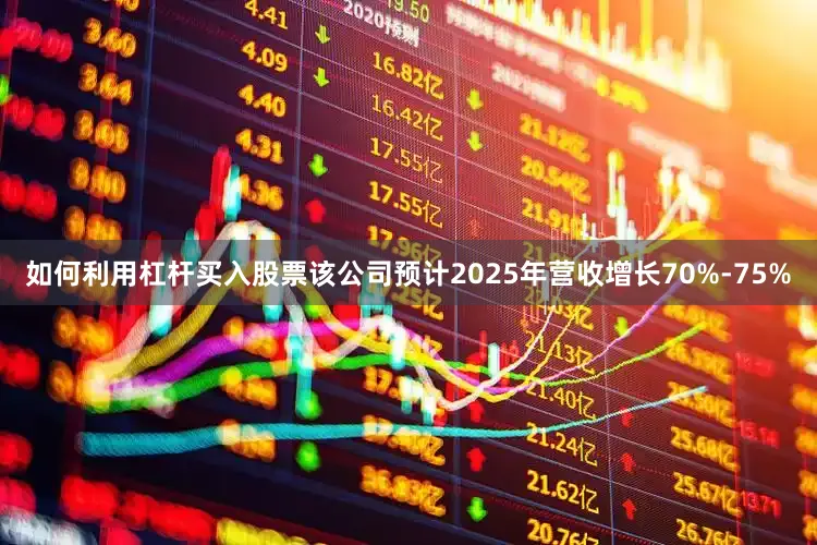 如何利用杠杆买入股票该公司预计2025年营收增长70%-75%